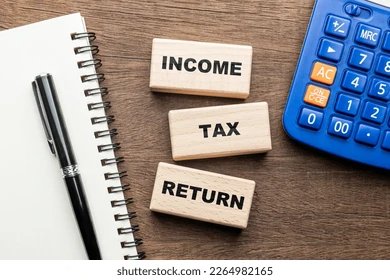 Income tax return filing